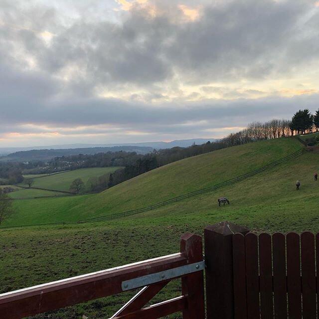 As the winter light of Hereford fades, and we creep towards the end of the year, I am soaking up the wonder of this view, the lush grass that looks as soft as velvet while also cool to the touch. Simply waiting to burst into life,
I&rsquo;m excited t