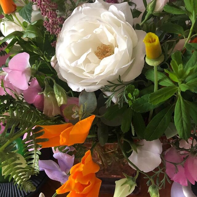 Some days only flower will do the trick #colours #connections #flowers #acupuncture #summer #feelinggood