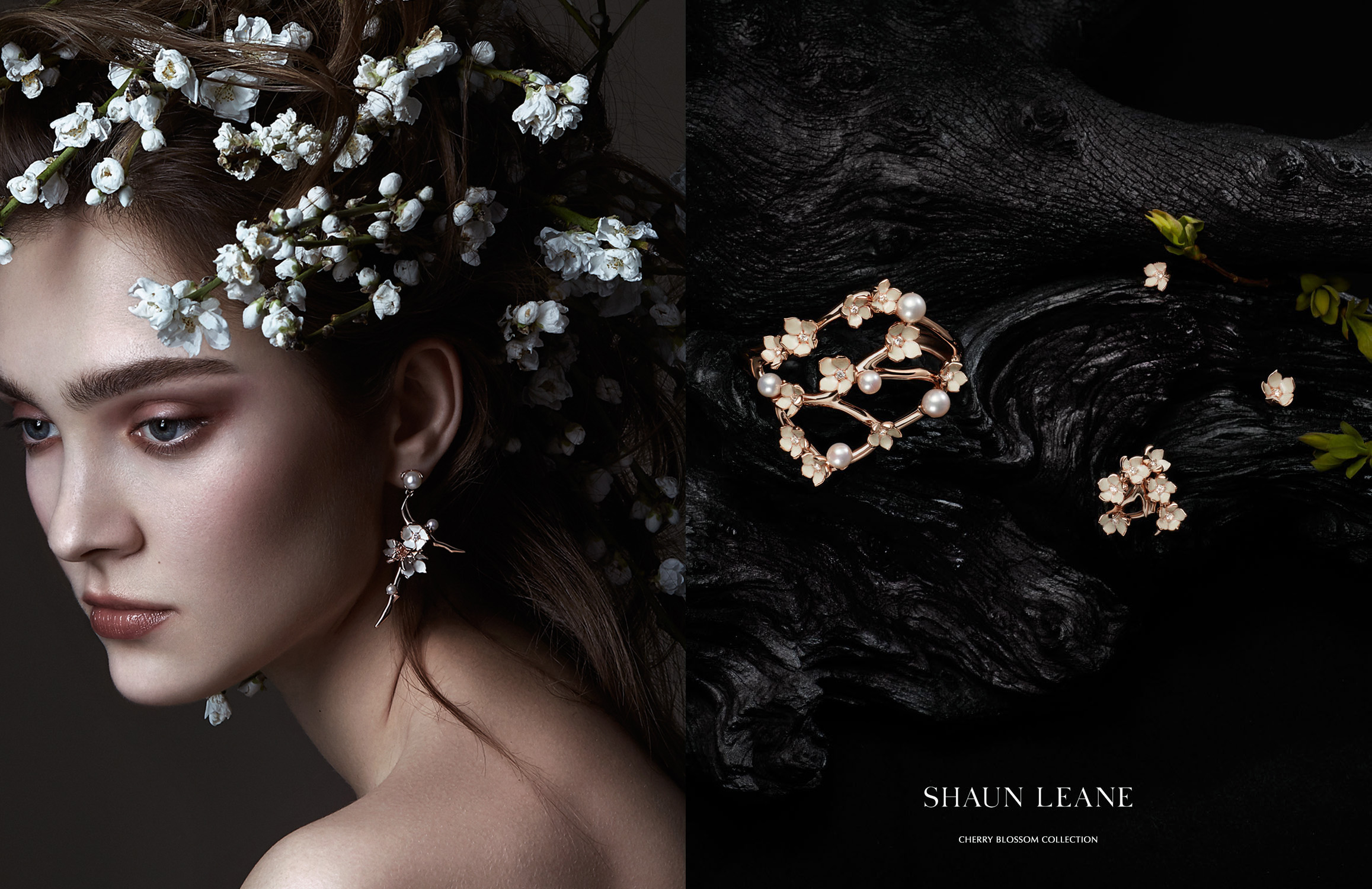 SHAUN LEANE