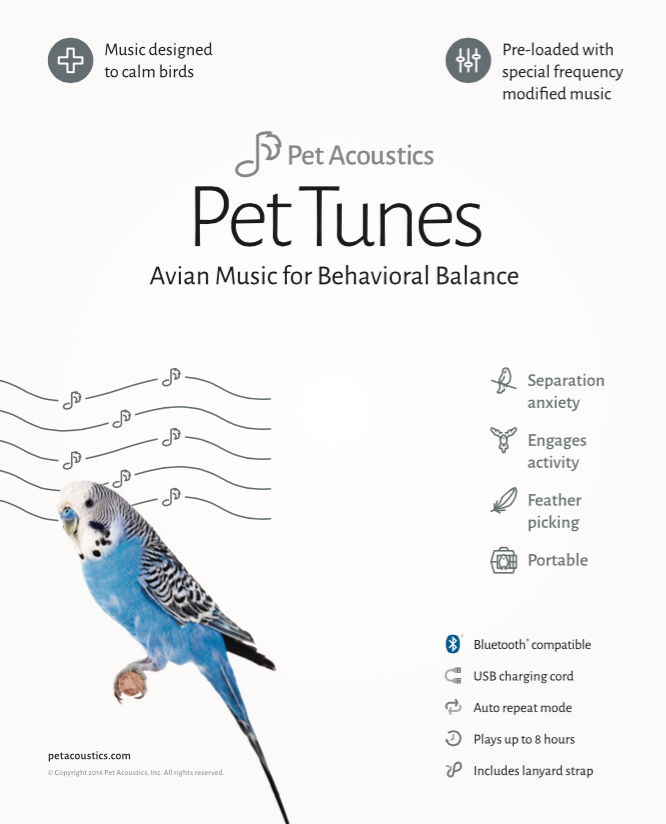 bird tunes.png