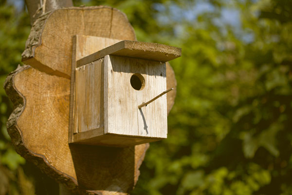 Our bird feeder