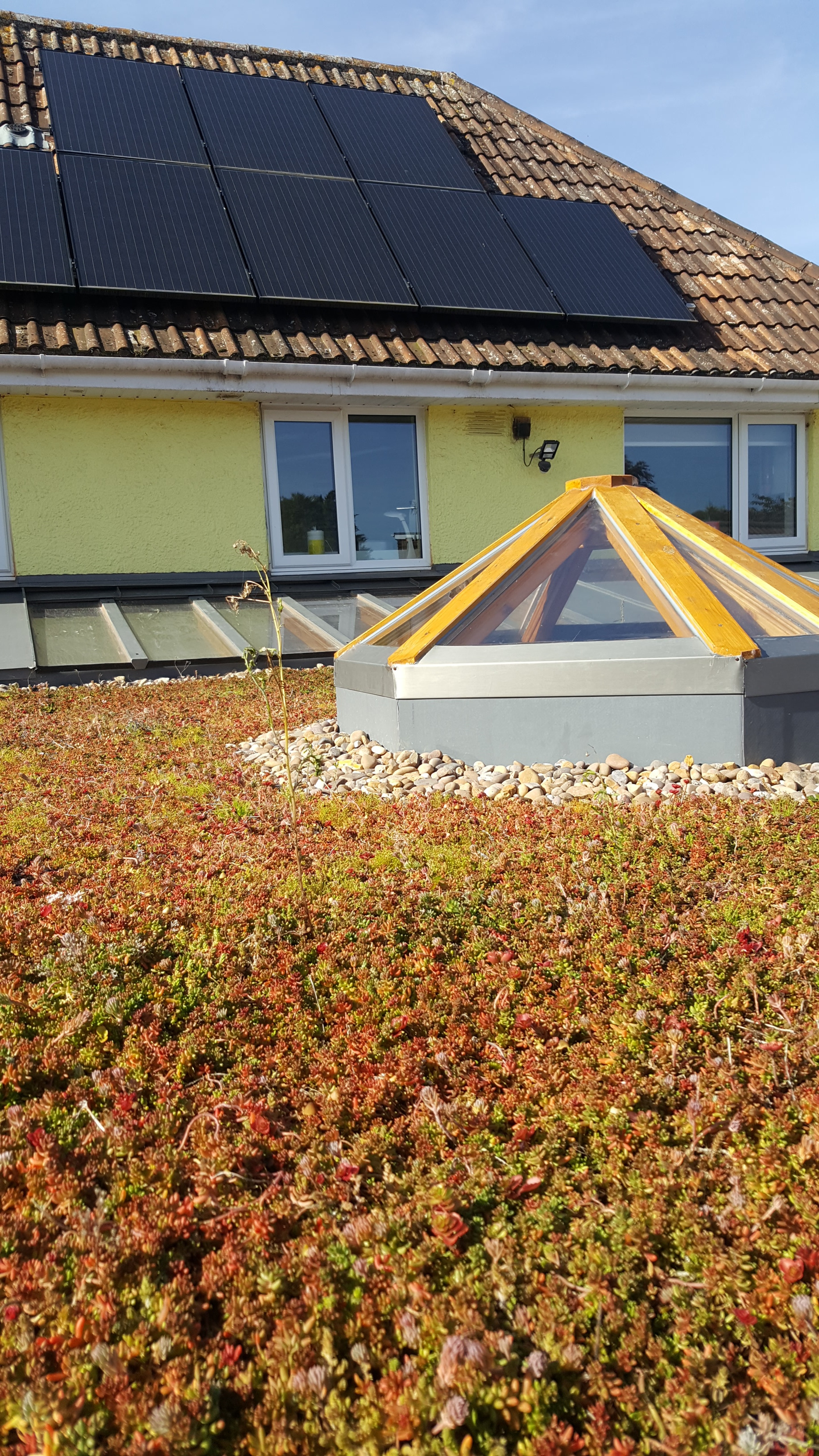 living roof.jpg