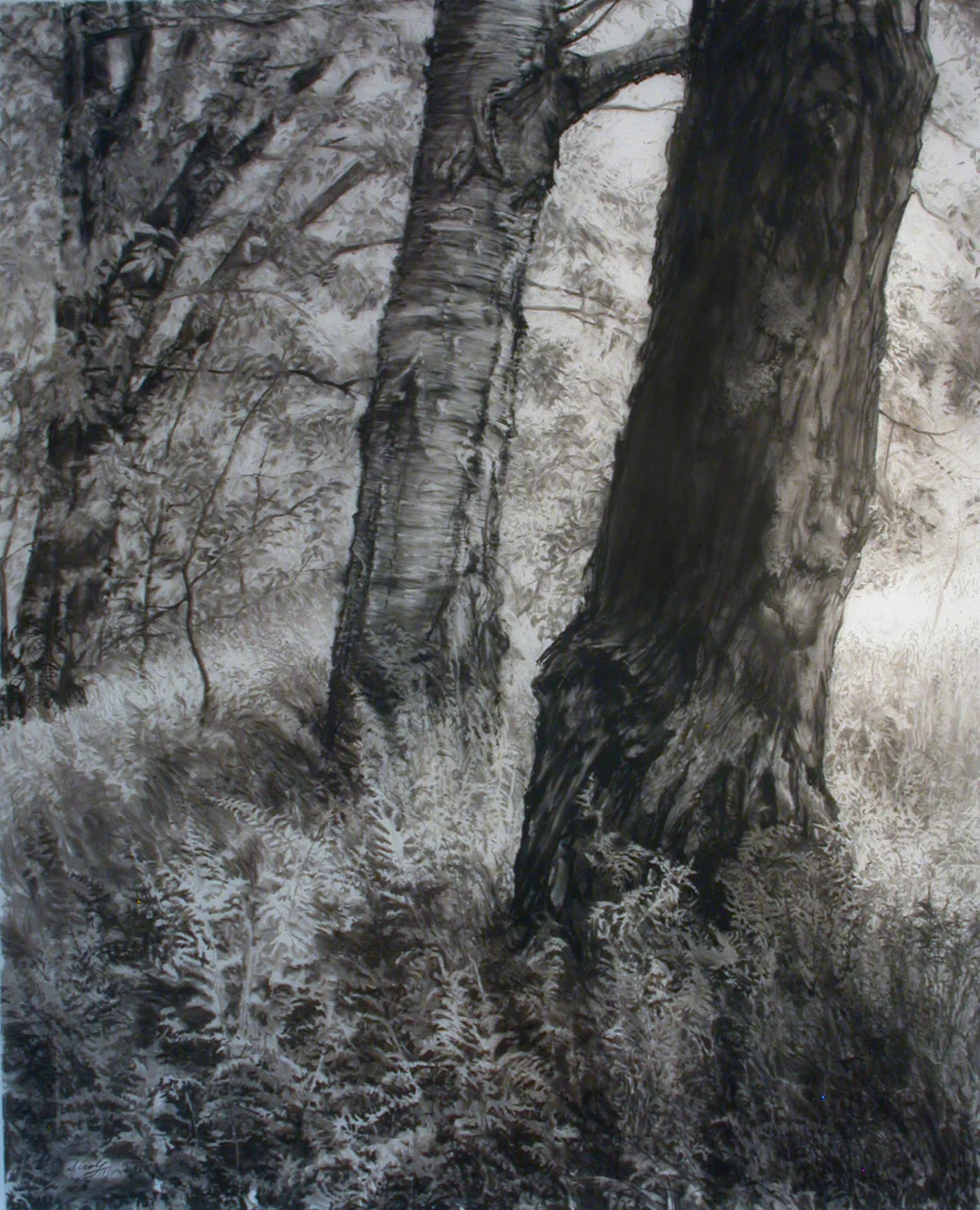Three Trees in a Fern Glade (Private Collection)