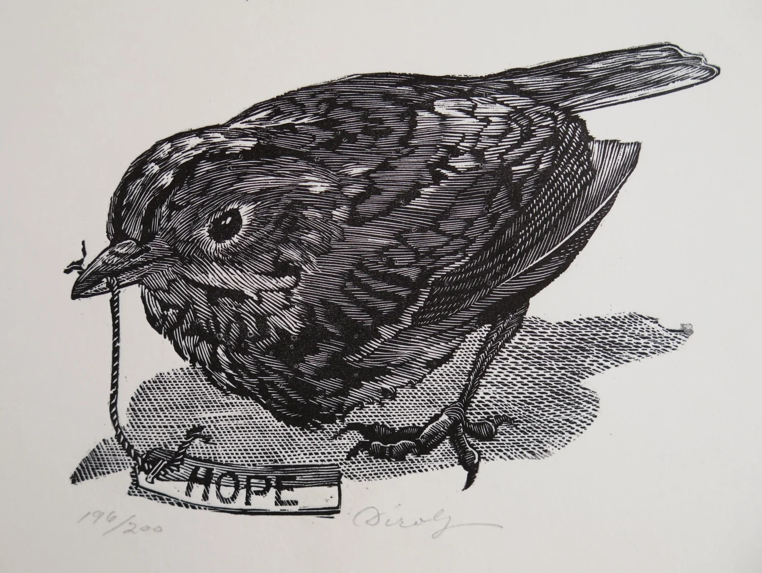 Hope (5" x 3 1/4" engraving.  Part of A Suite for St. Francis)