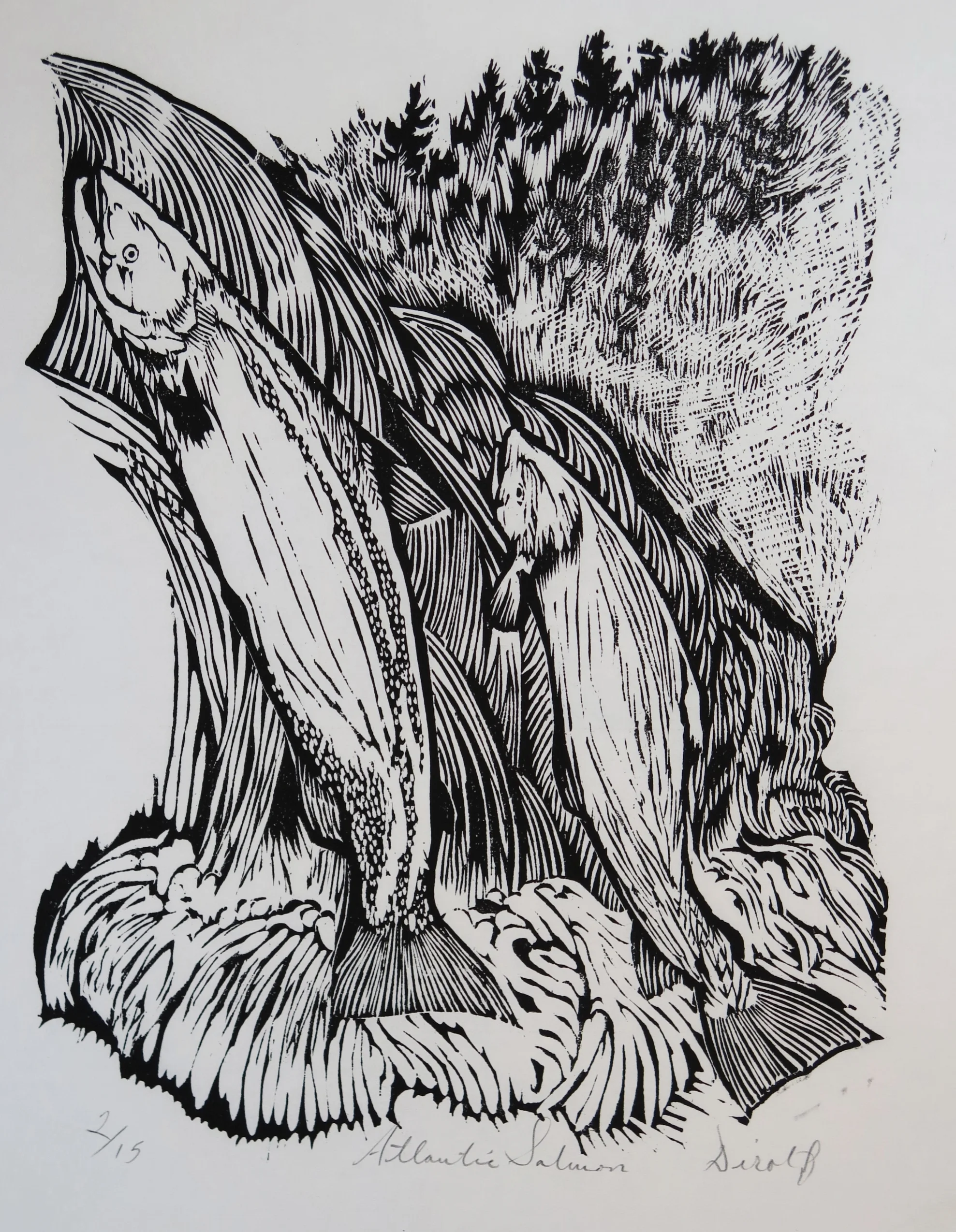 Atlantic Salmon ( 9 1/4" x 12 1/4" Woodcut)
