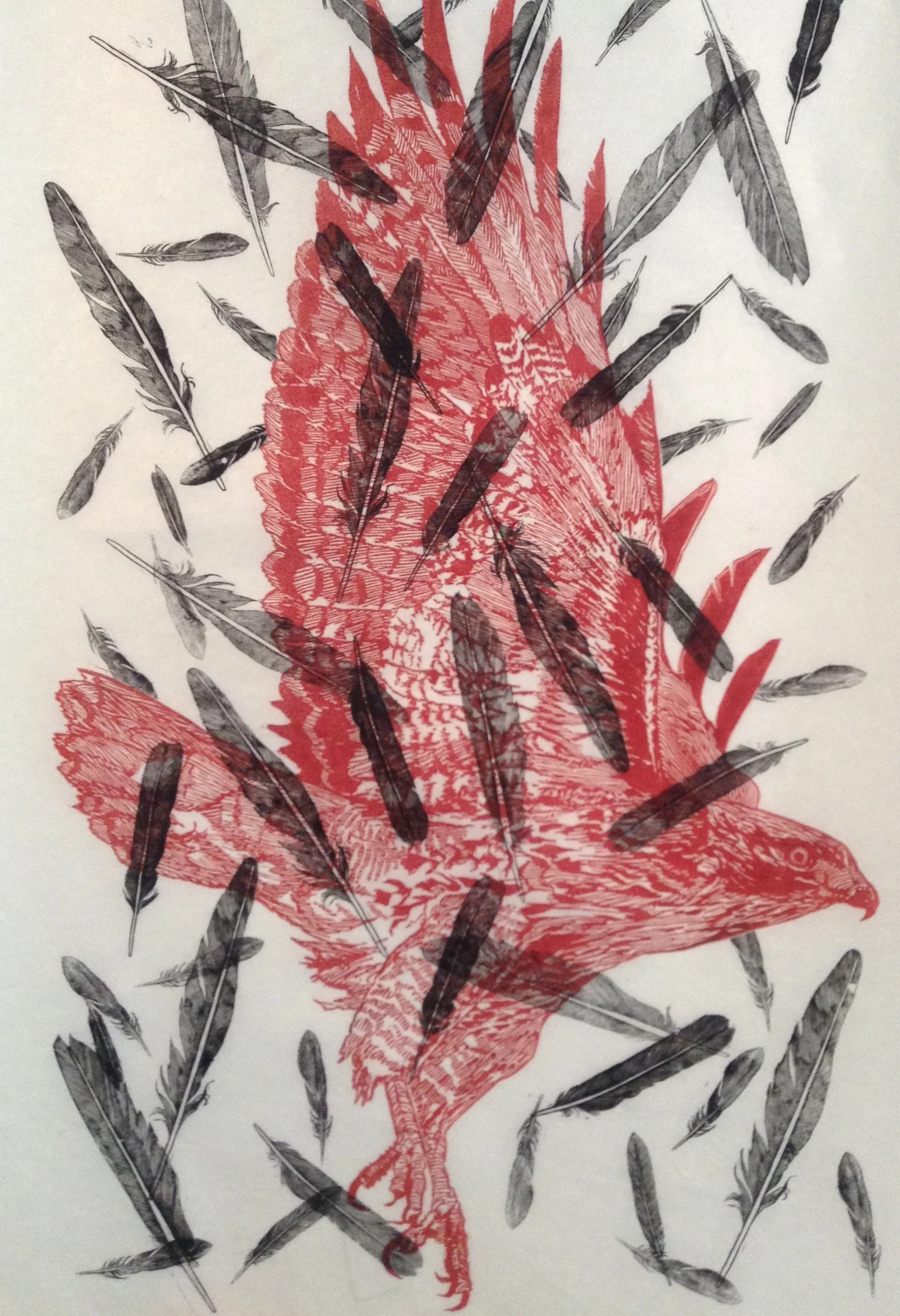 Red Tail (22" x 34" Two-Color Monoprint)