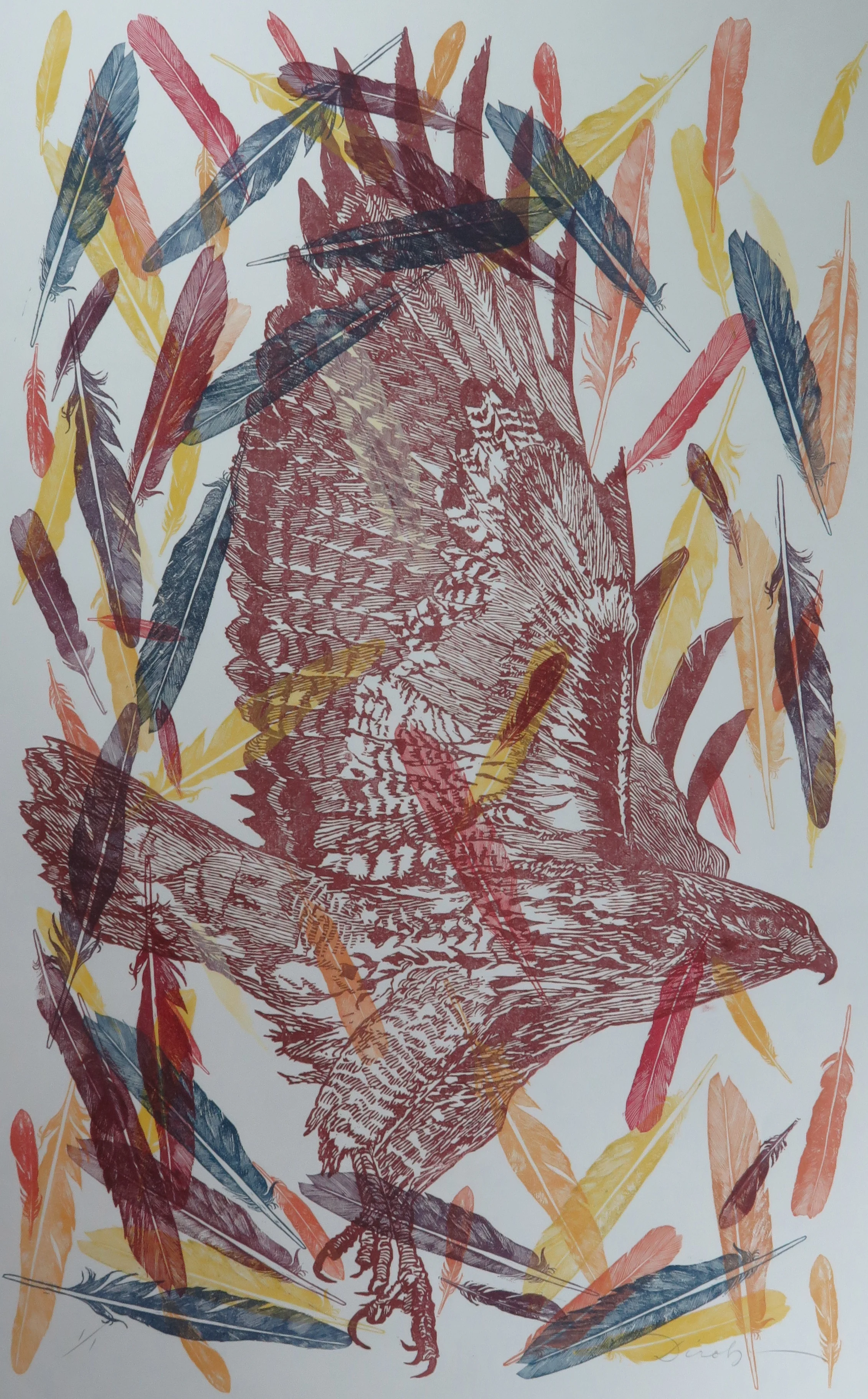 Red Tail (22" x 34" Multi-Color Monoprint)