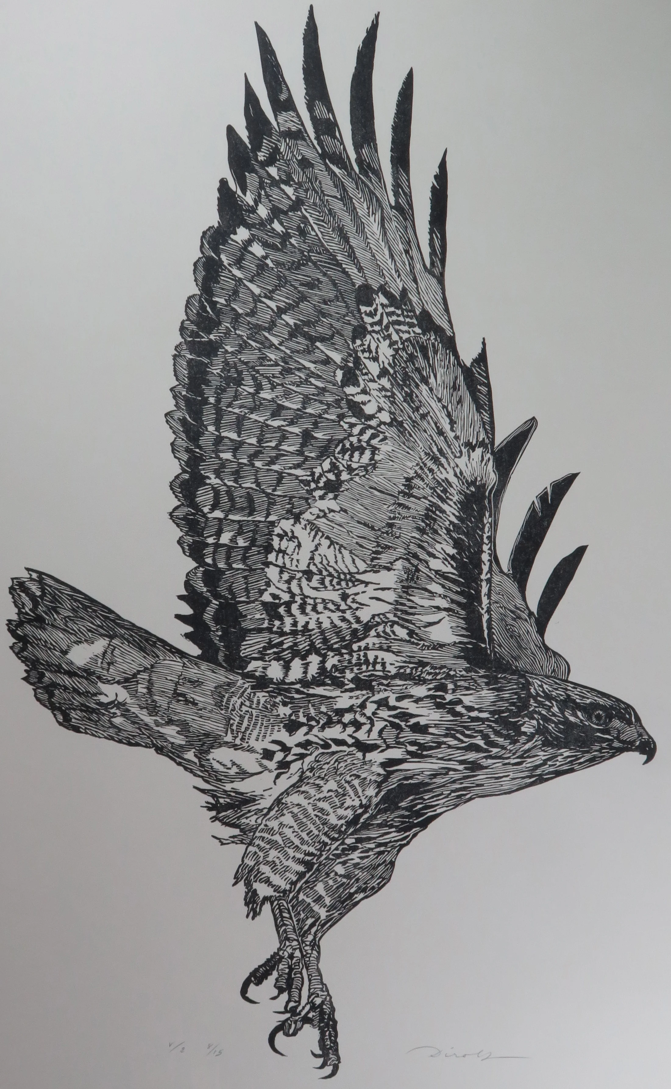 Red Tail (18 1/4" x 30 1/4" Linocut)