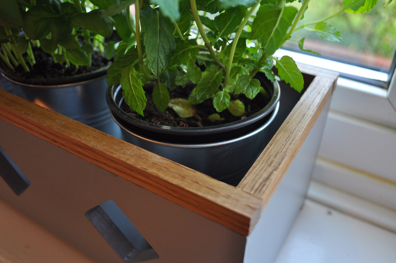 Herb troughs — Cole and Field