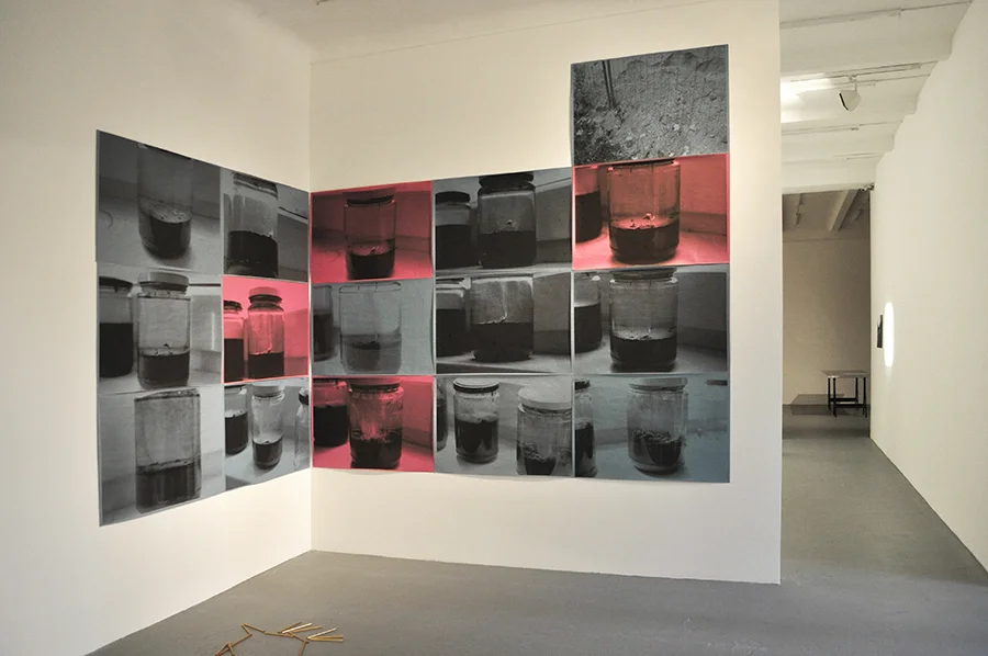 Yves Mettler, Regressive Landscape. Featured in The Ultimate Capital is the Sun: Metabolism in Contemporary Art, Politics, Philosophy and Science at nGbK, Berlin, 2014.