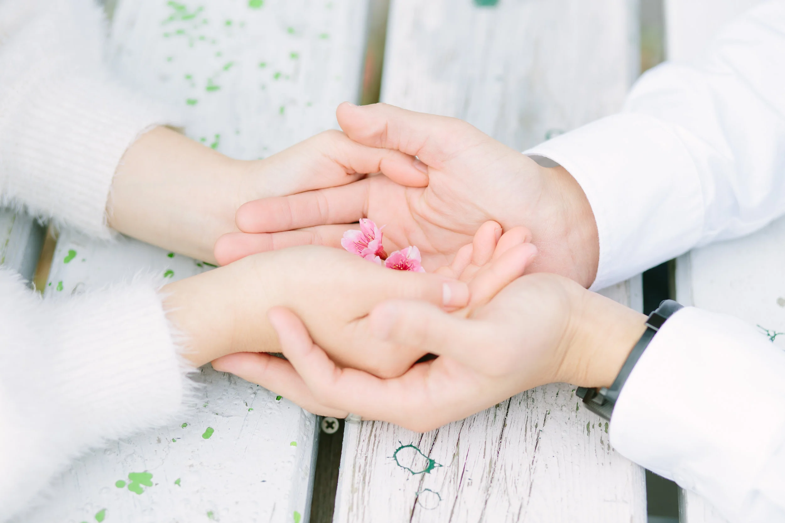 沖縄カップルフォト | 沖縄桜 | 出張カメラマン | Koji Nishida Photography