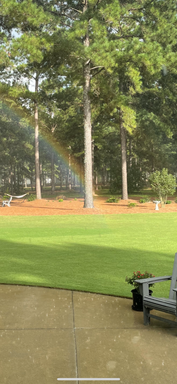 Focused Sales Training