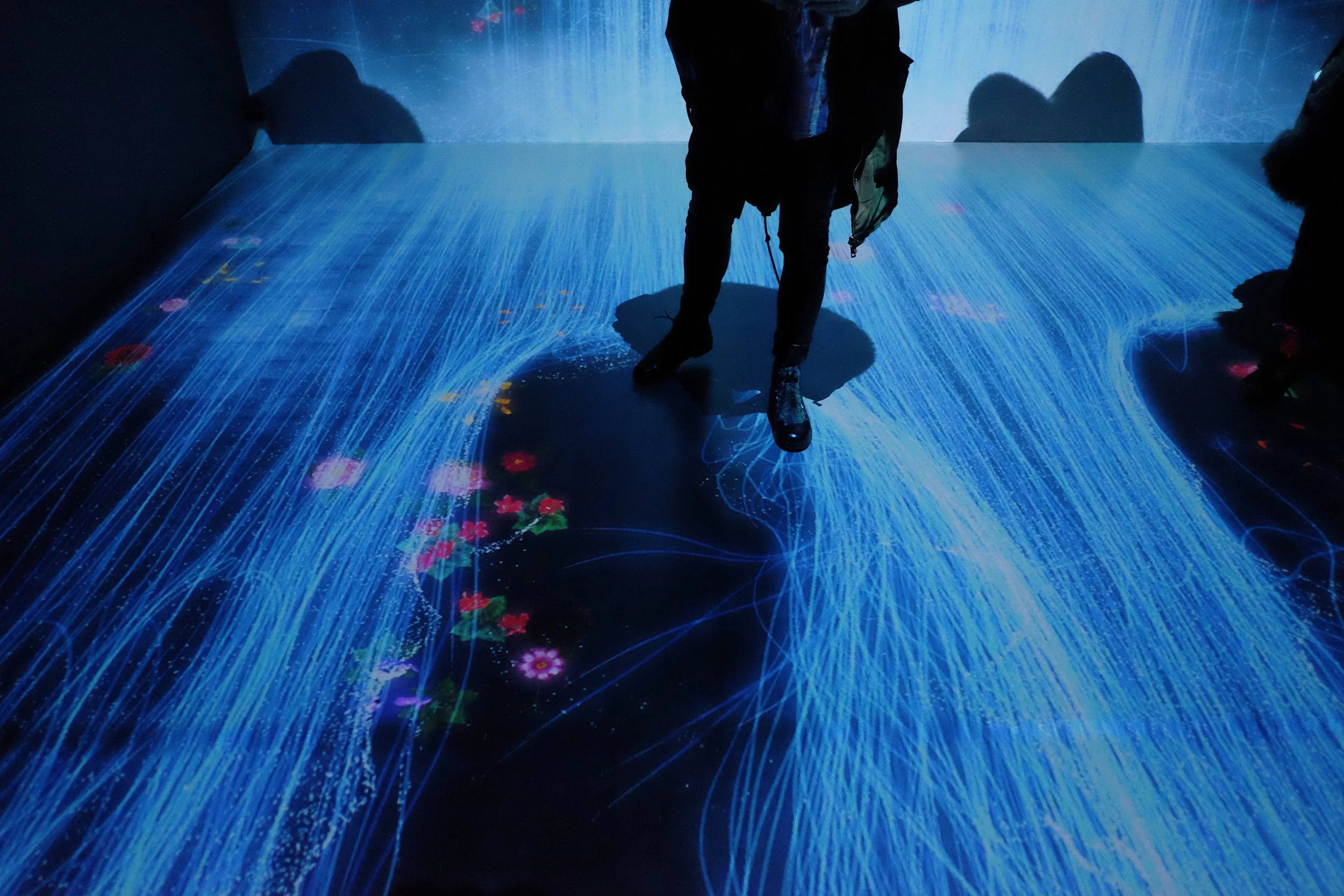 Transcending Boundaries 