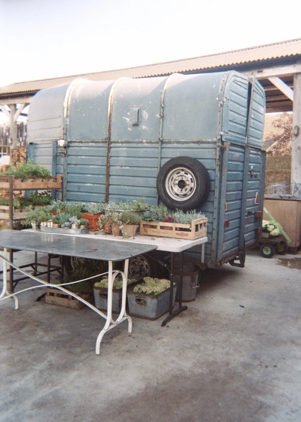 AAA004A.jpg