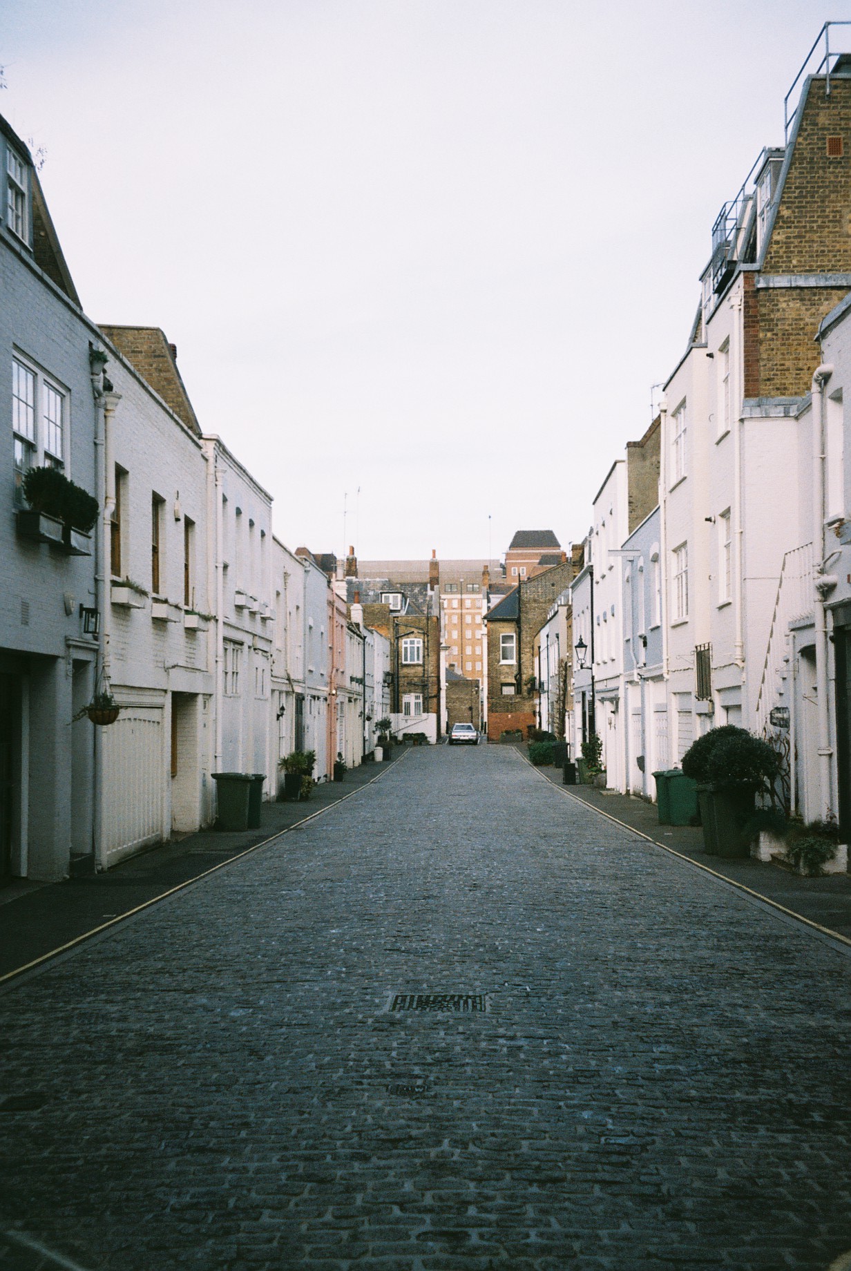 Film Diaries - Jan 19