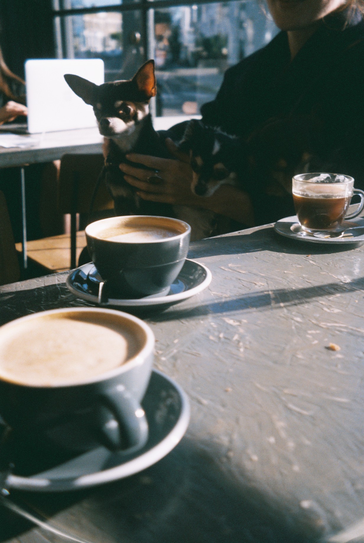 I love that in London many cafes and pubs allow dogs. We love going for a walk to the park with them and then stopping in a little cozy café for some coffee. / Adoro que em Londres muitos cafés e pubs permitam a entrada a cães. Nós adoramos ir dar uma volta a pé até ao parque com eles e depois parar num cafezinho acolhedor para tomar um café.