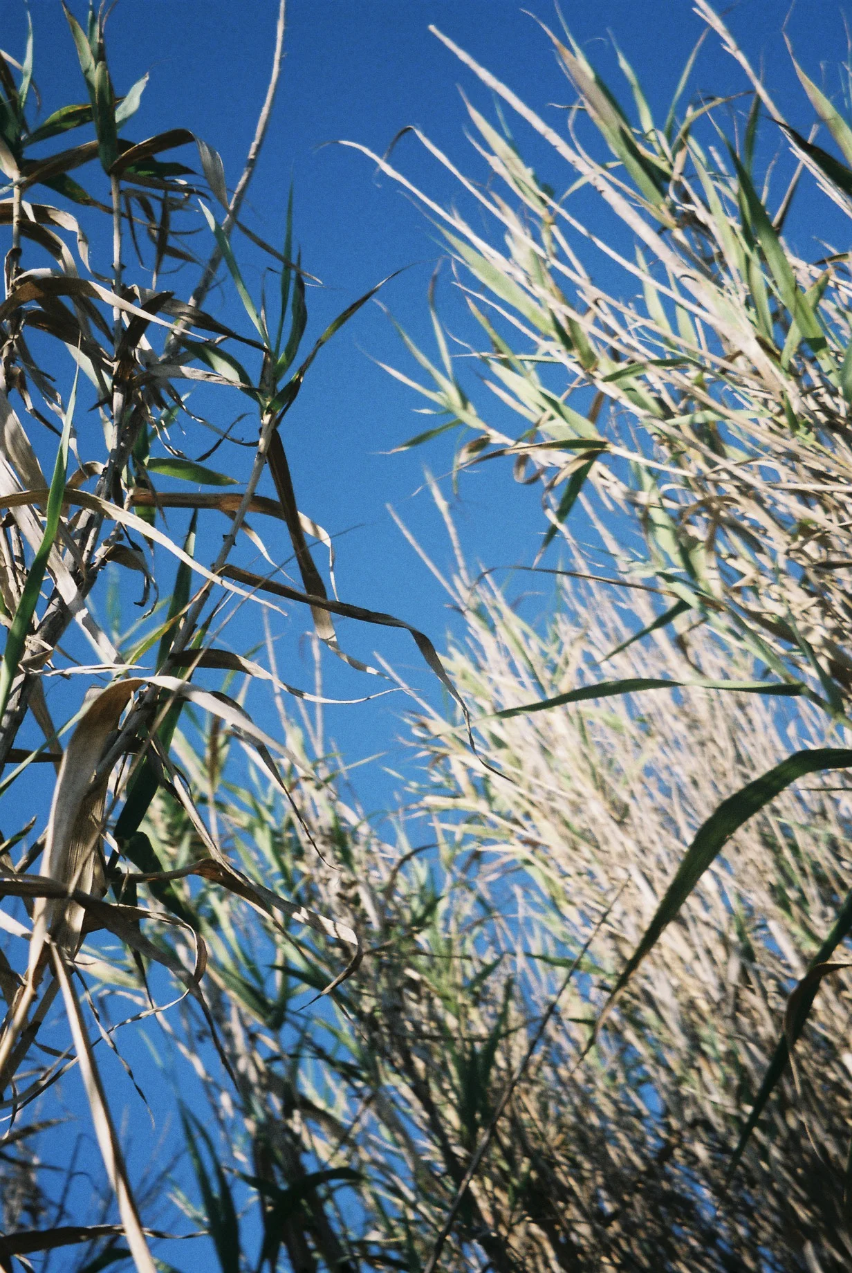 CNV00058.jpg