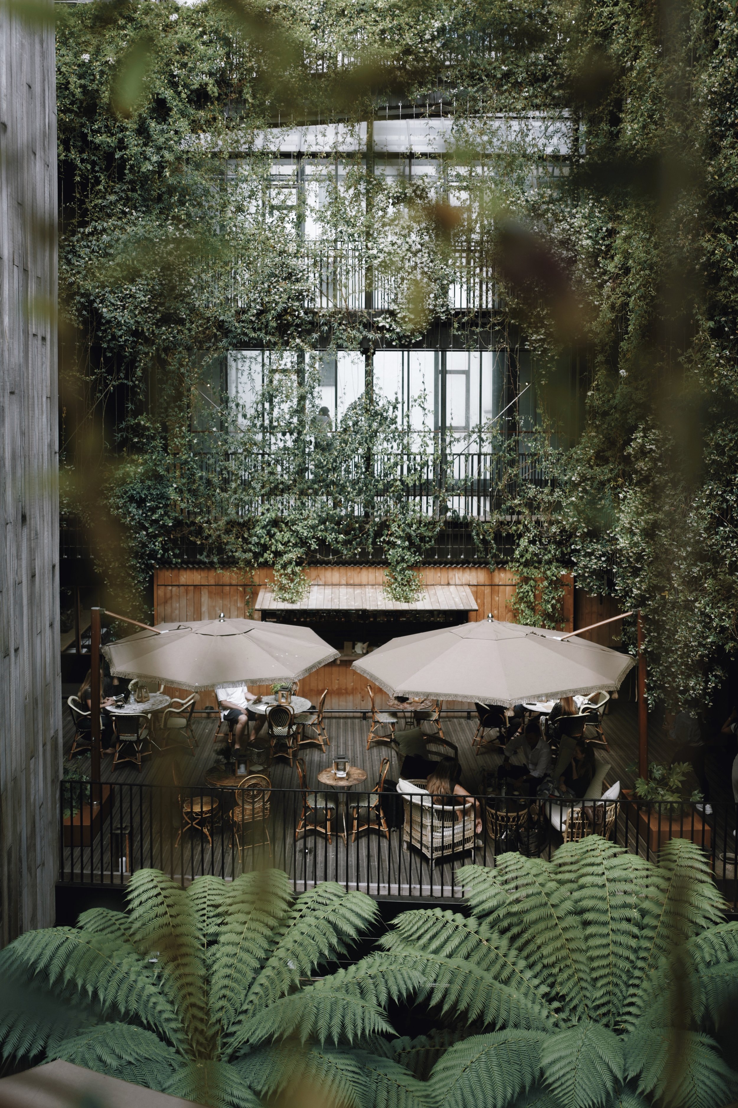 JUREMA // THE MANDRAKE HOTEL