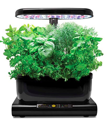  For those who like cooking, here’s a way of growing aromatic herbs indoors.  