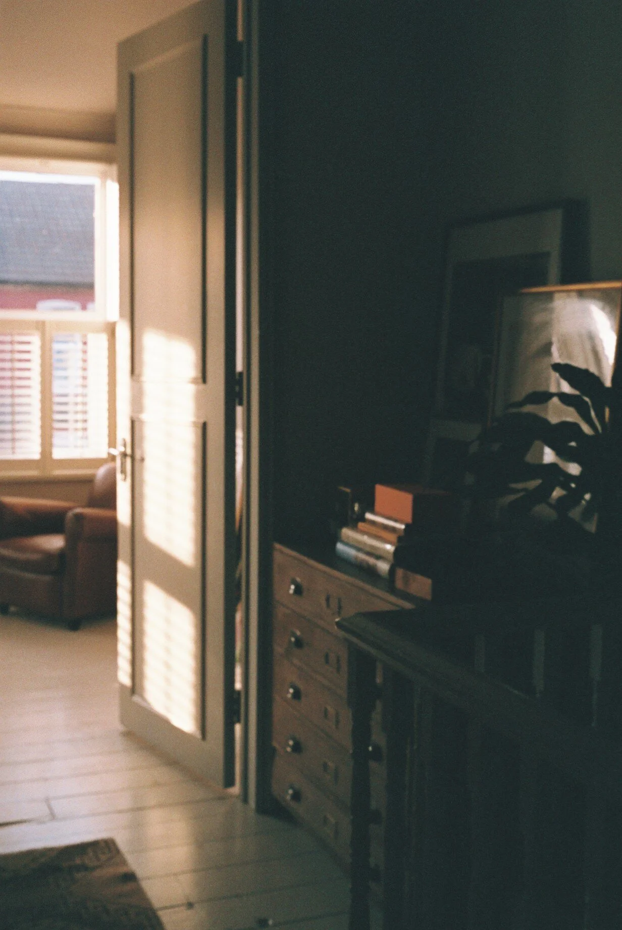 This month's diary is short because, well, we are confined to these four walls and I only had one roll of film at home. During the winter this part of the house barely catches any light, but as the days get longer the sun starts to set on this side,…