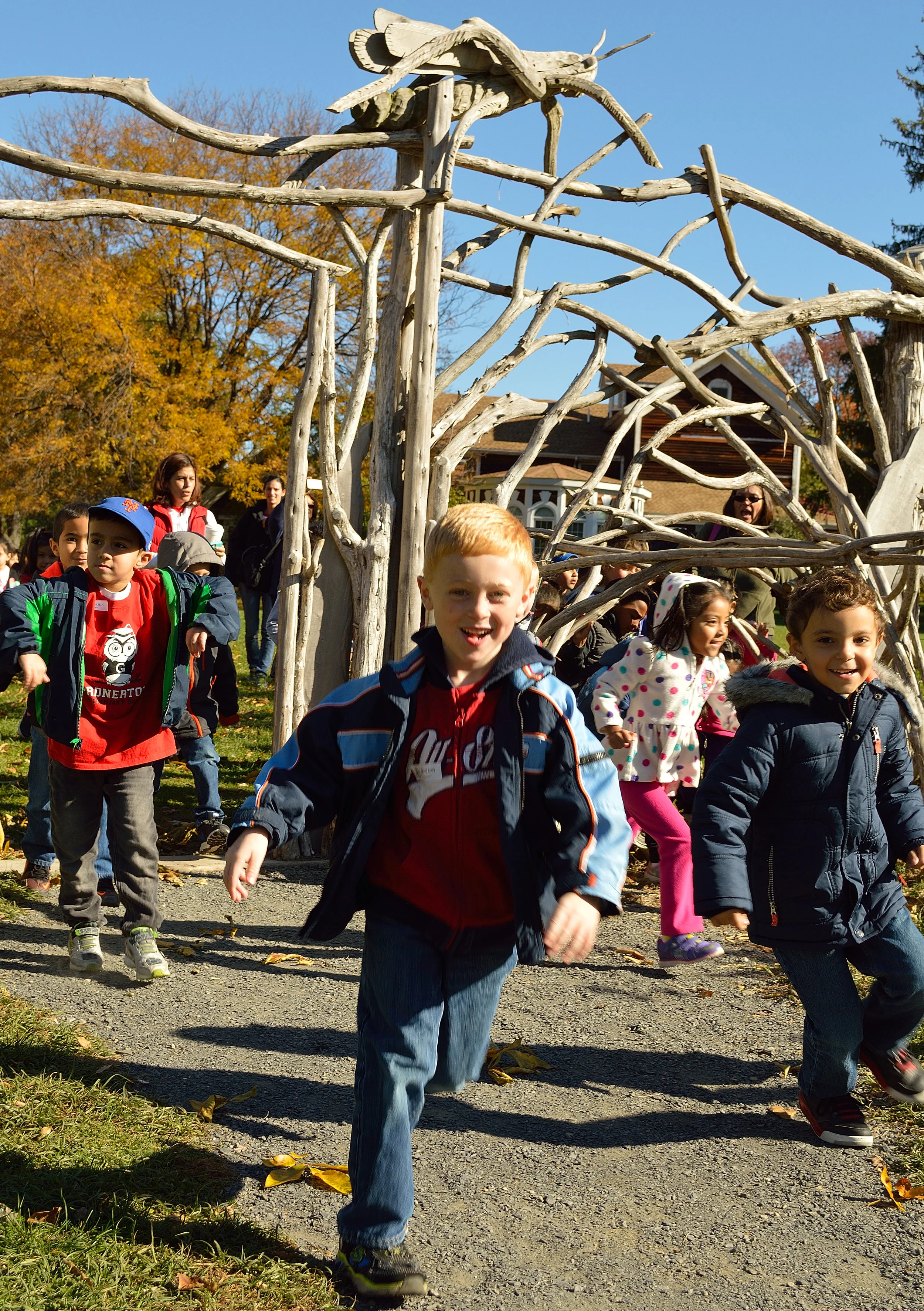 M. Amadmovic ECAN 003 - Copy.JPG