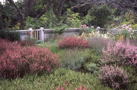 Special Lecture: BEATRIX FARRAND: LANDSCAPE DESIGNER