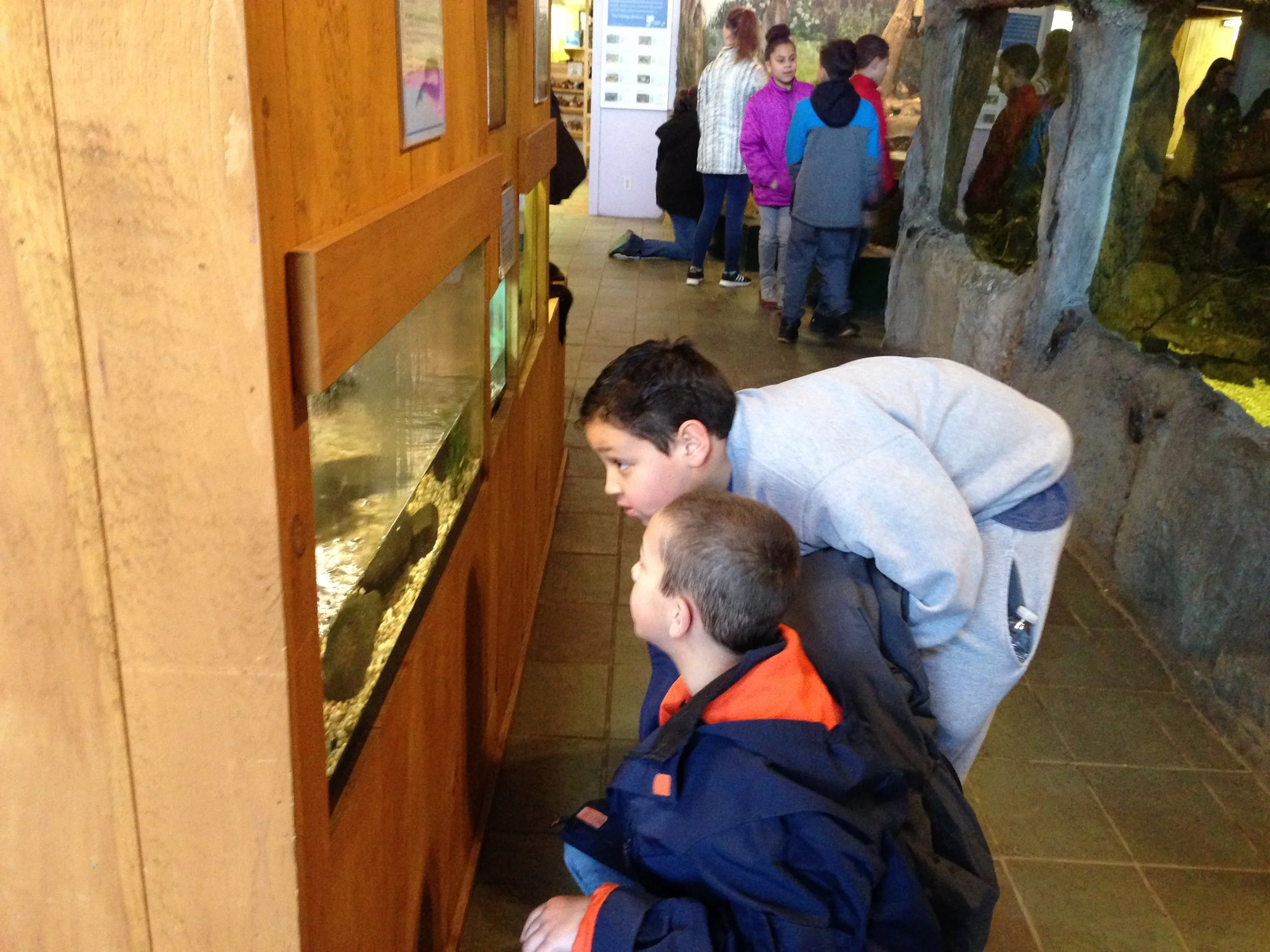 #9 School  programs.JPG