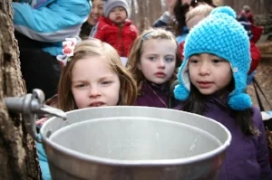 maple sugar 1.jpg