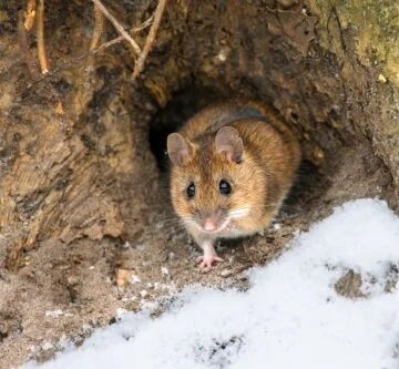 Brrr! It's Cold Outside