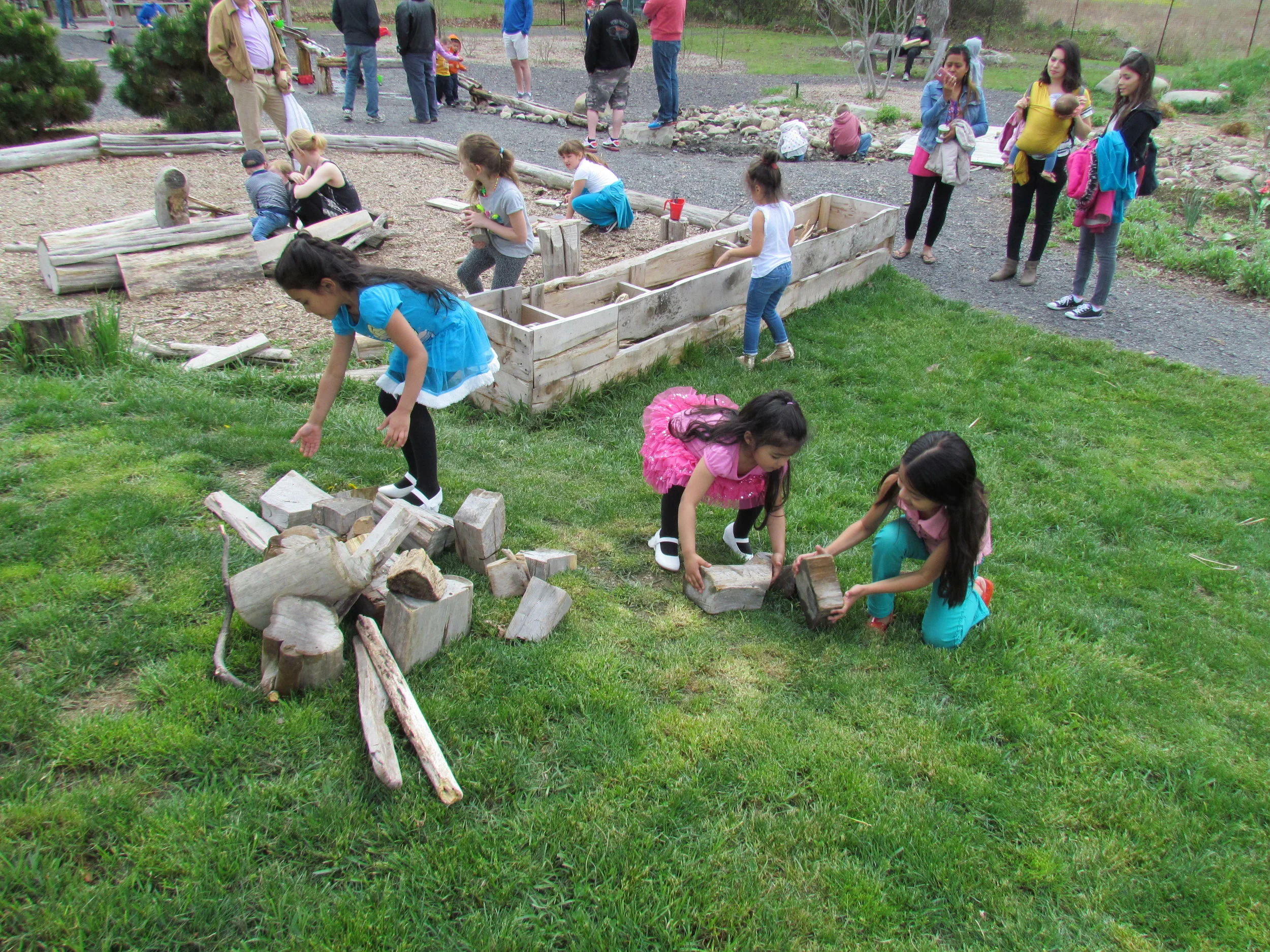 Community Day Nature of Play 