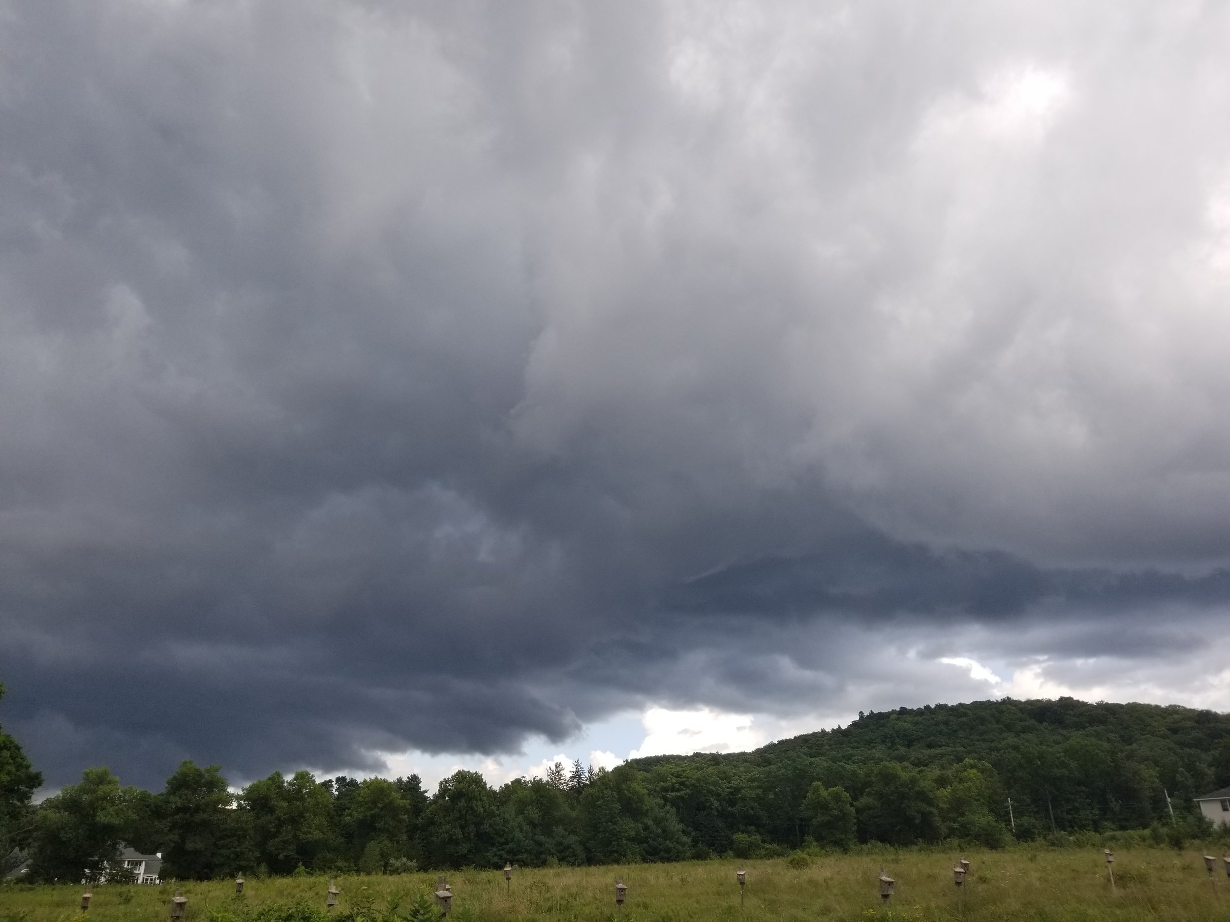 Climate, Weather and Personal Resilience