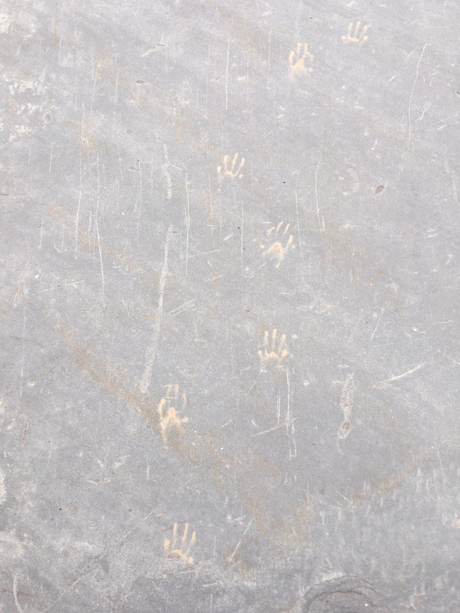 Sunday Stroll- Scavenger Hunting