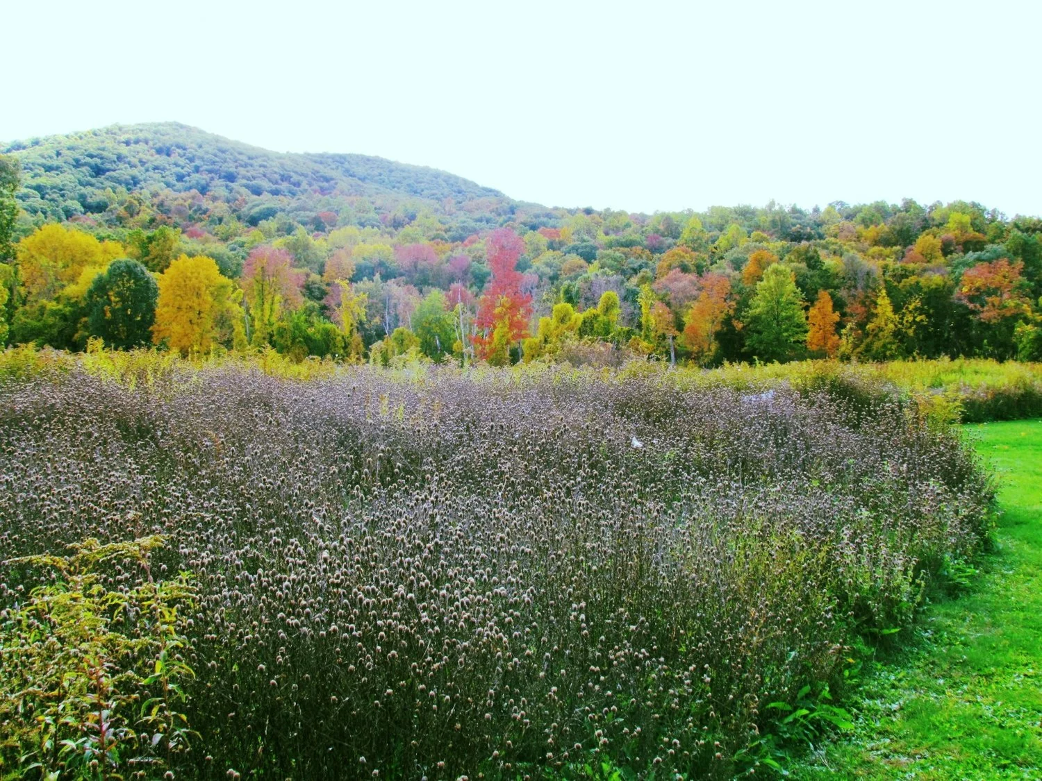 Member &amp; Public Access to Nature Museum Properties