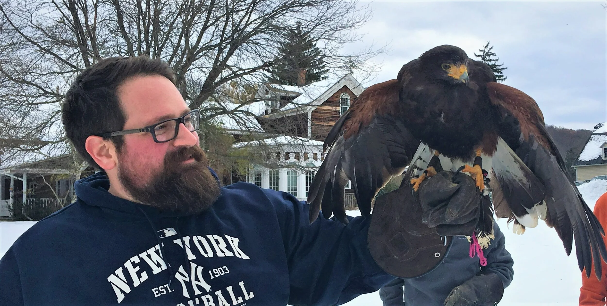 Hawk Walk: Two sessions at 10am &amp; 12pm 