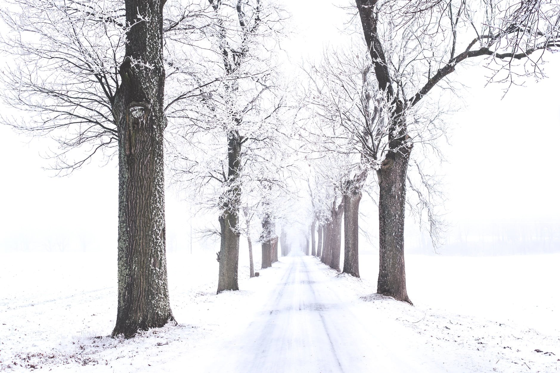 Happy Holidays From HHNM Executive Director Tom Bregman