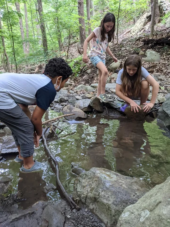 Hudson Highlands Nature Museum The Hudson Valley's Premier Outdoor