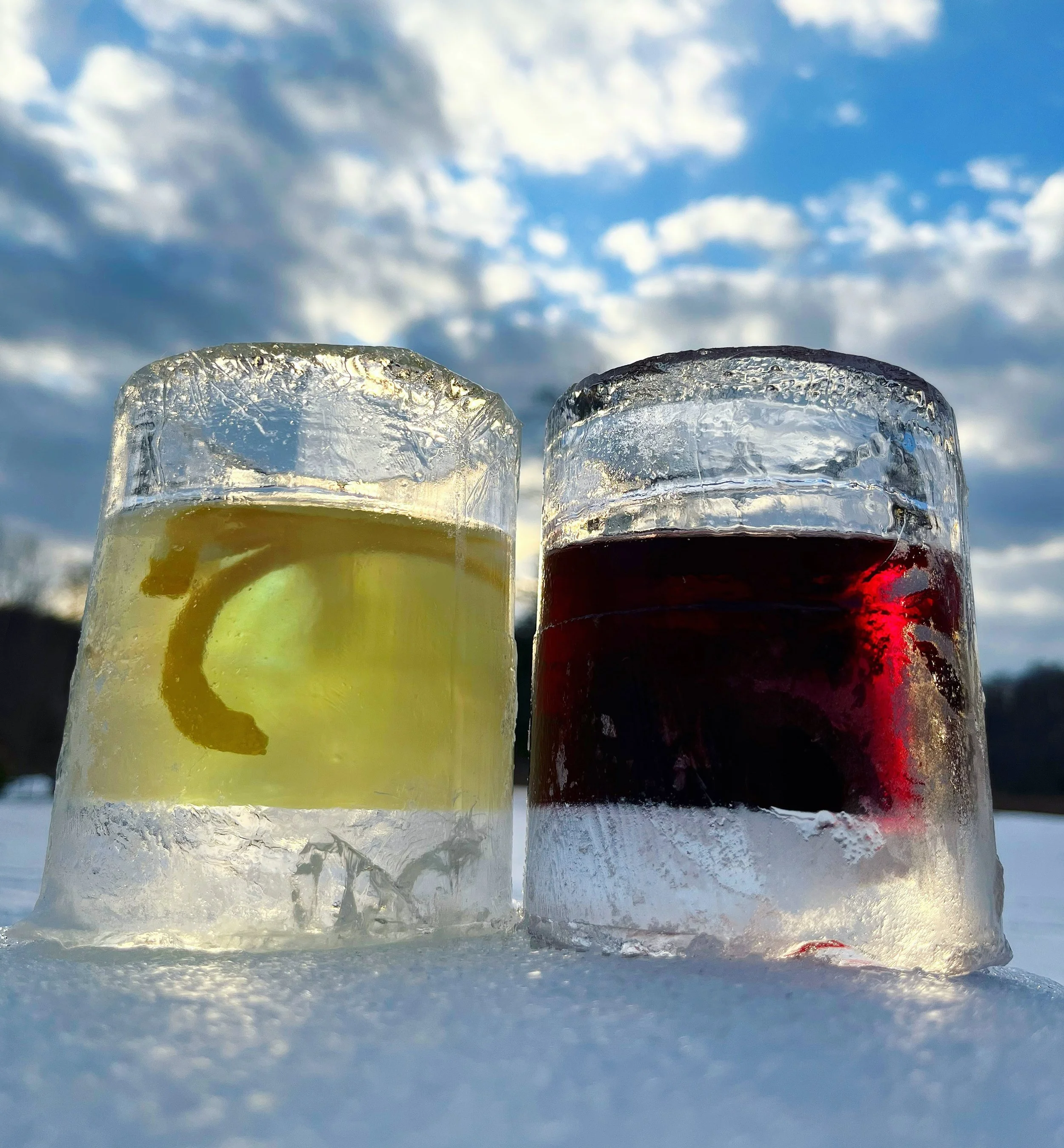 nature on ice cups 1 winter benefit.JPG