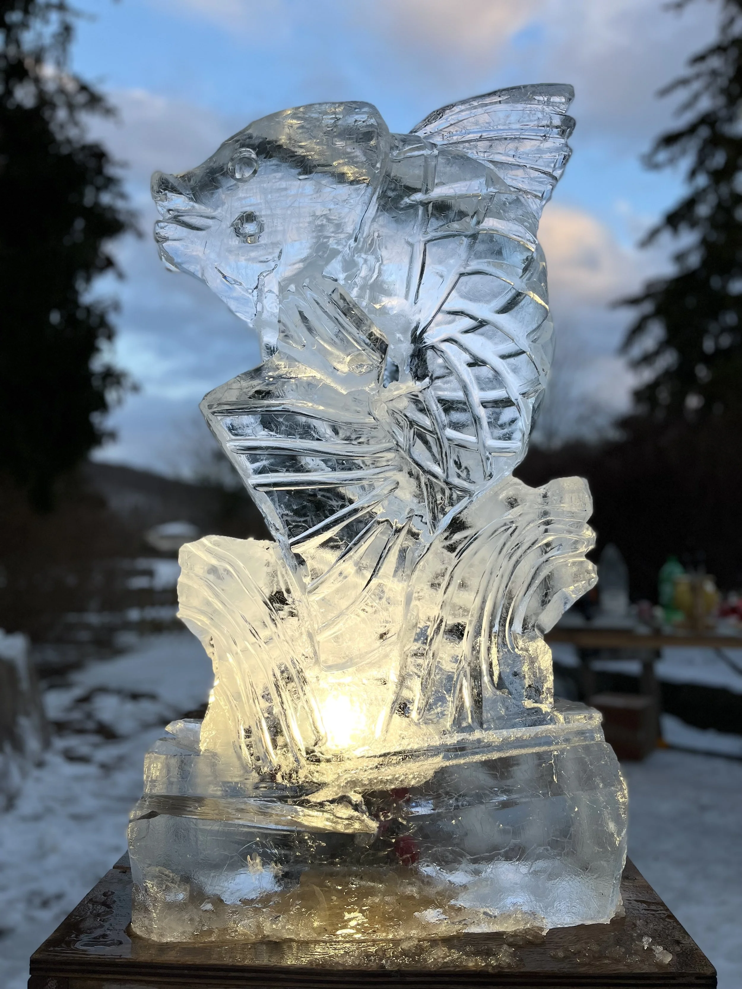 Nature on ice 2022 (10).jpg