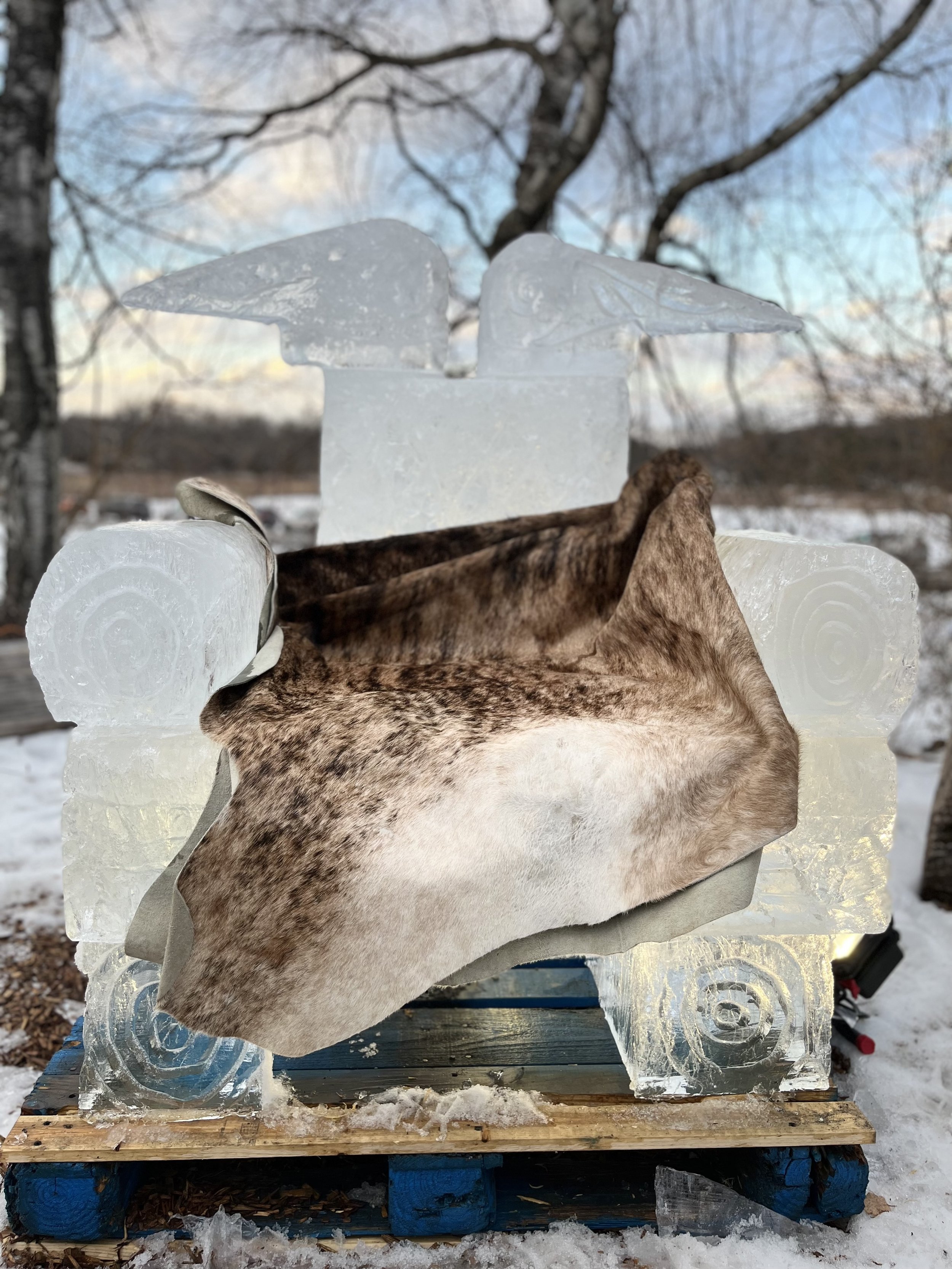 Nature on ice 2022 (20).jpg