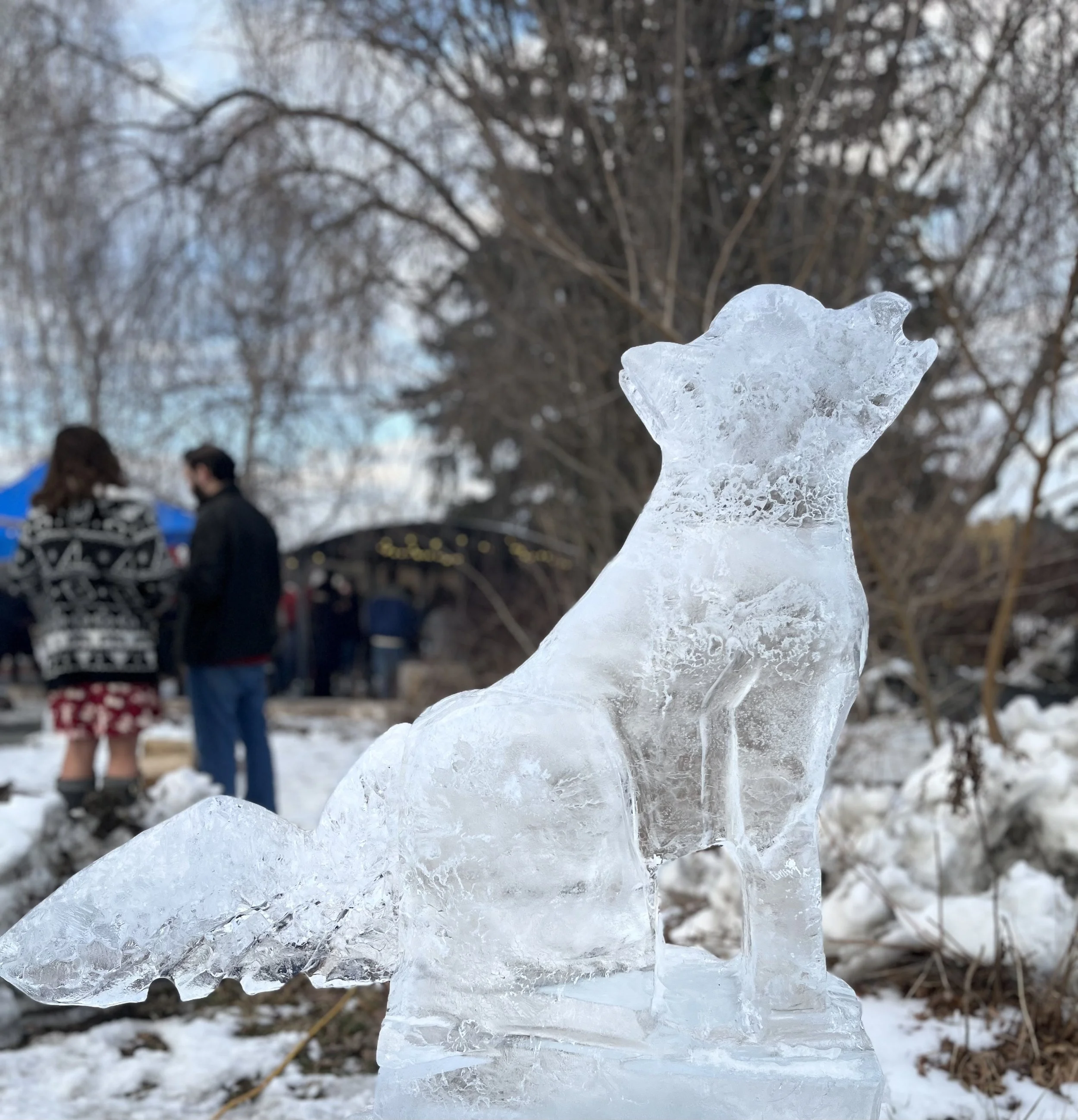 Nature on ice 2022 (30).jpg
