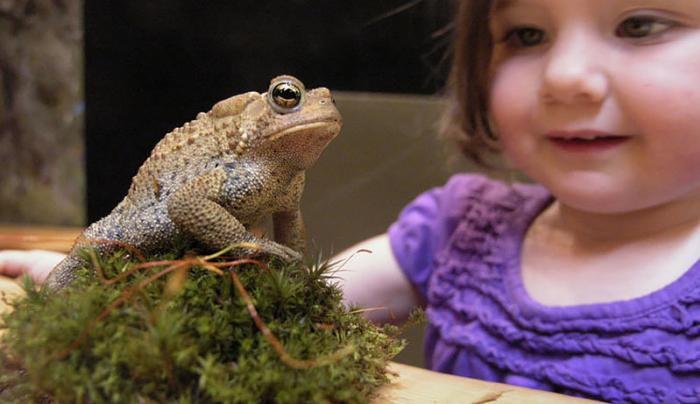 ants girl with toad.jpg