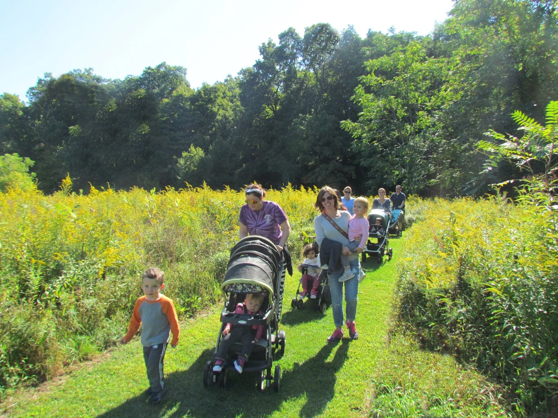 Warwick Stroller Naturalist  