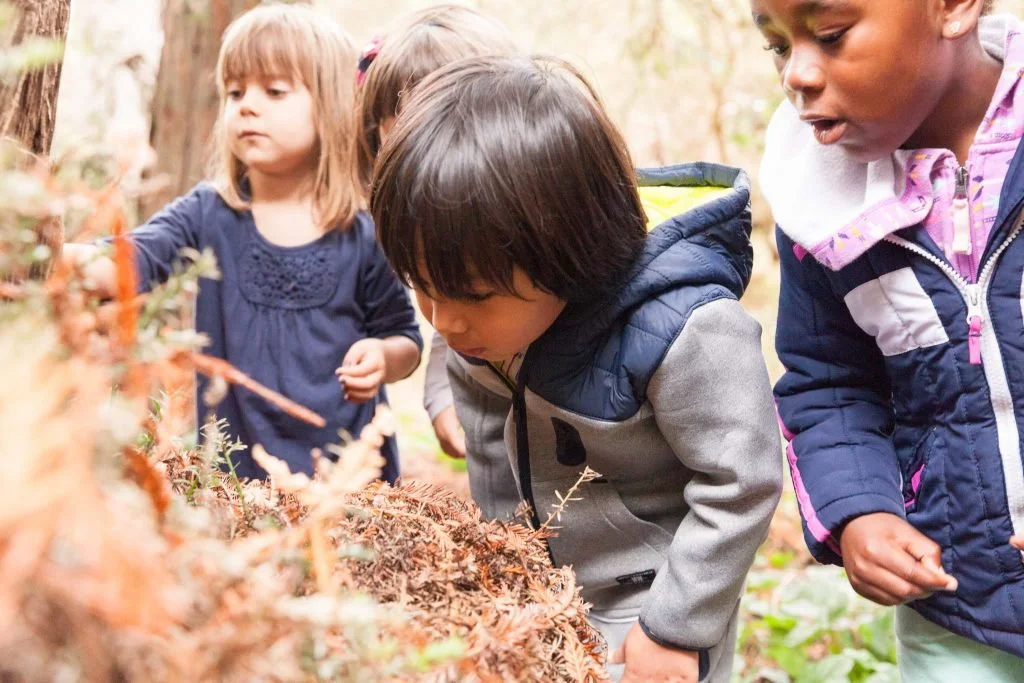 Cornwall: Young Naturalist Preschool Open House