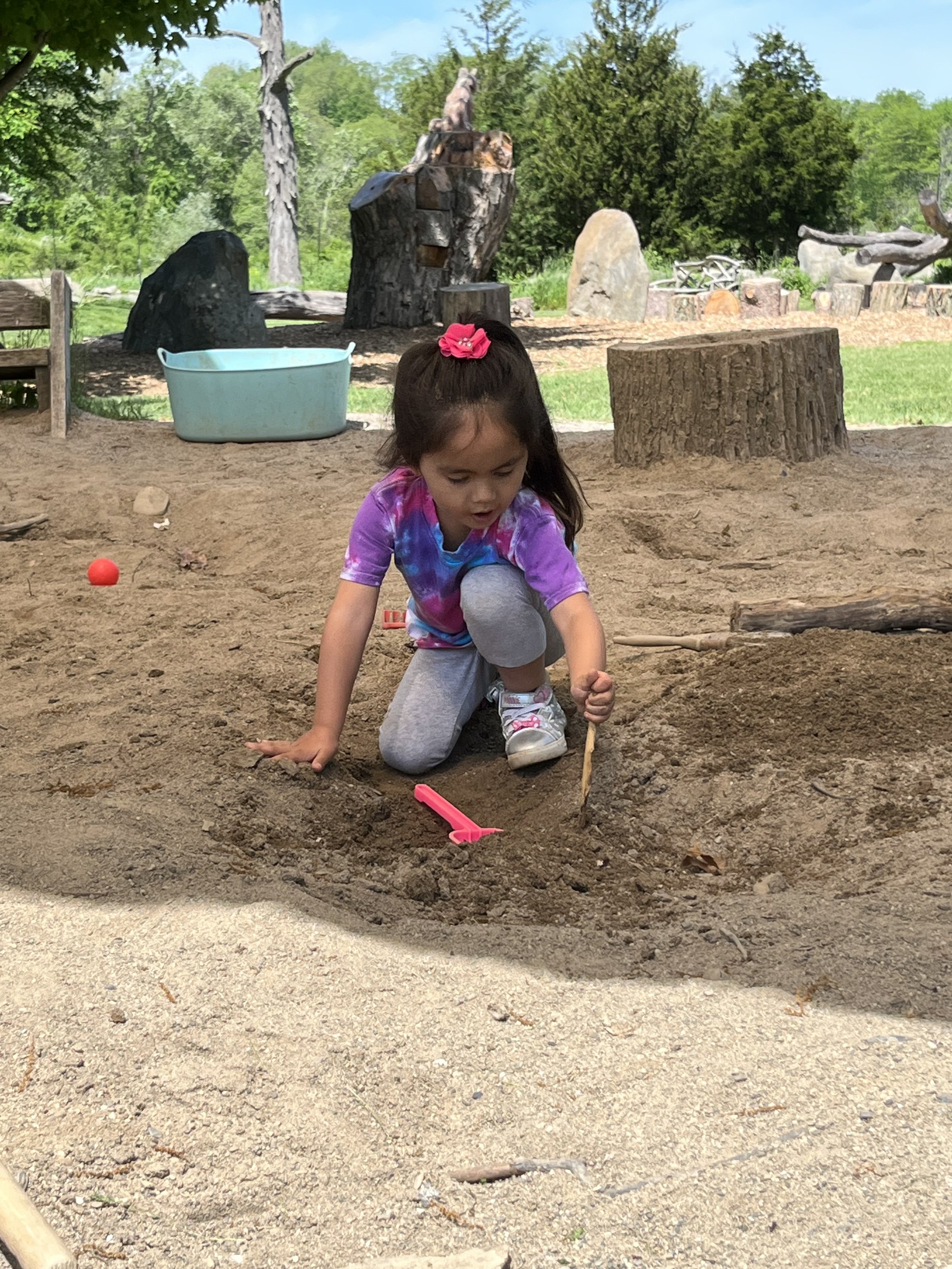 grasshopper grove sand pit.jpeg