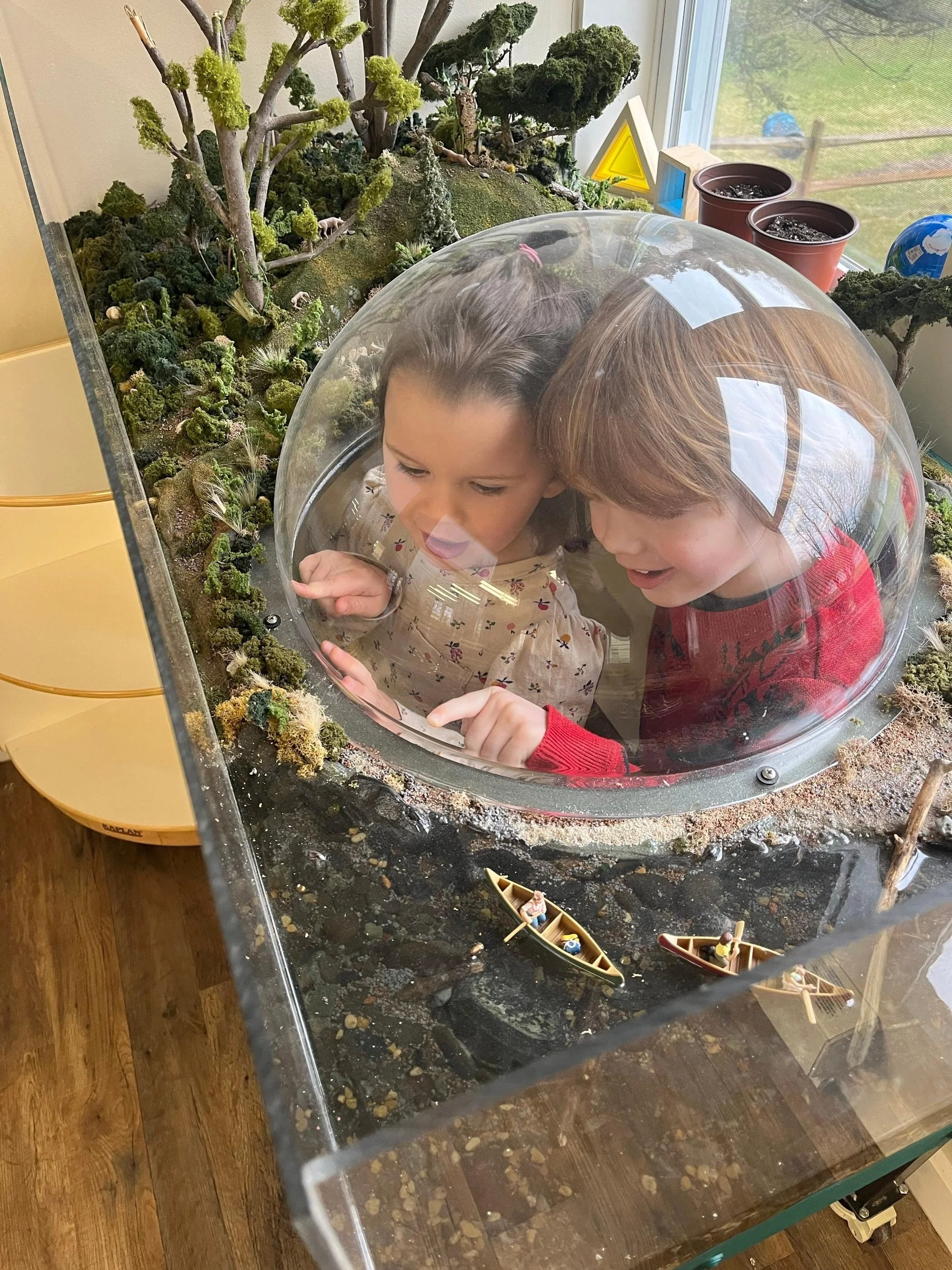 warwick yn 2025 (2).jpeg