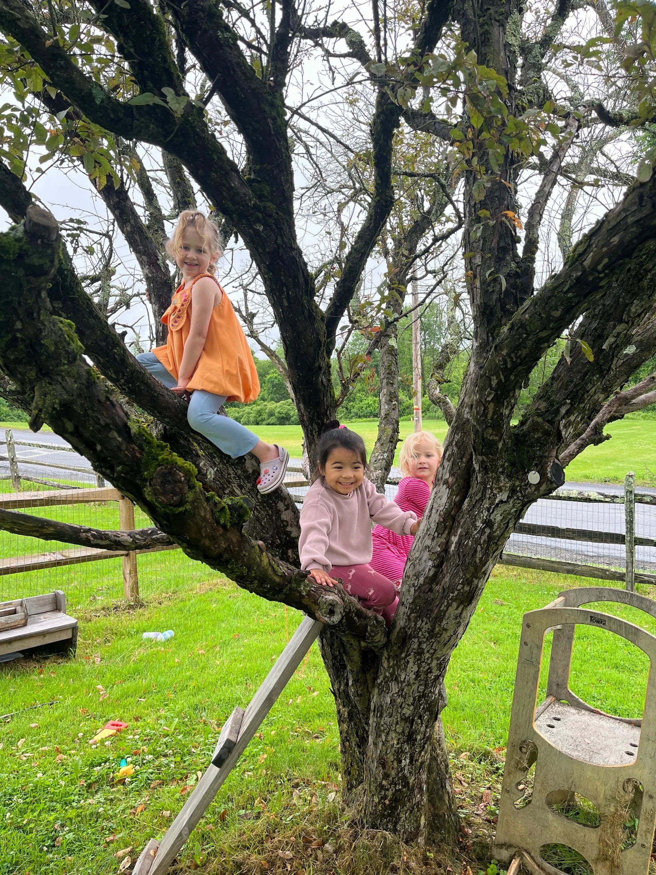 warwick yn 2025 (3).jpeg