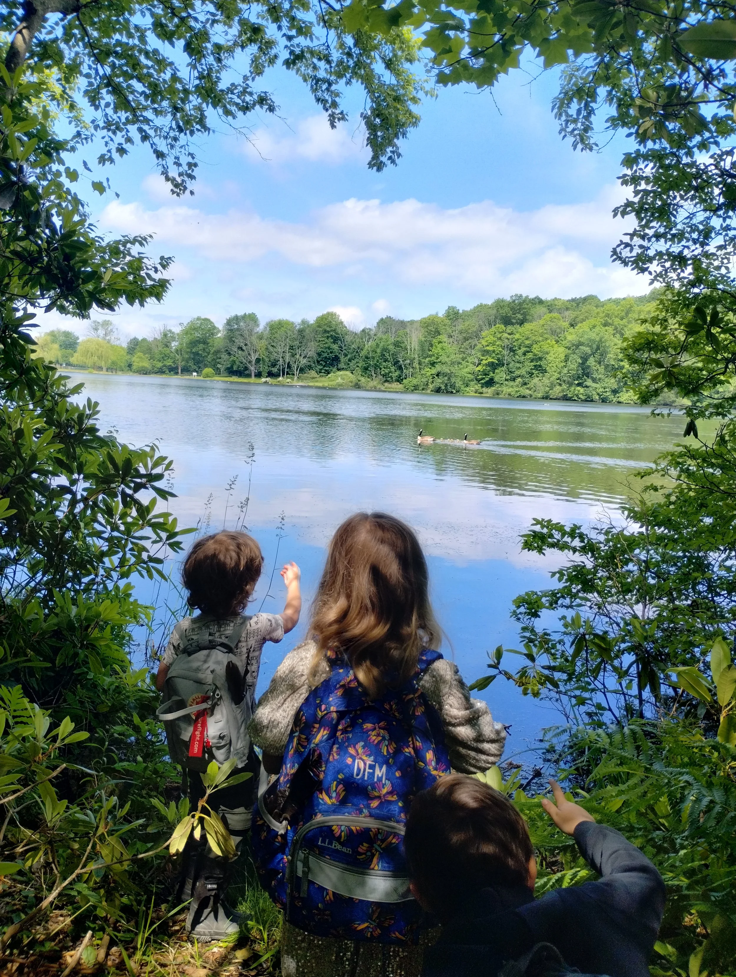 warwick by lake spring - summer.jpg
