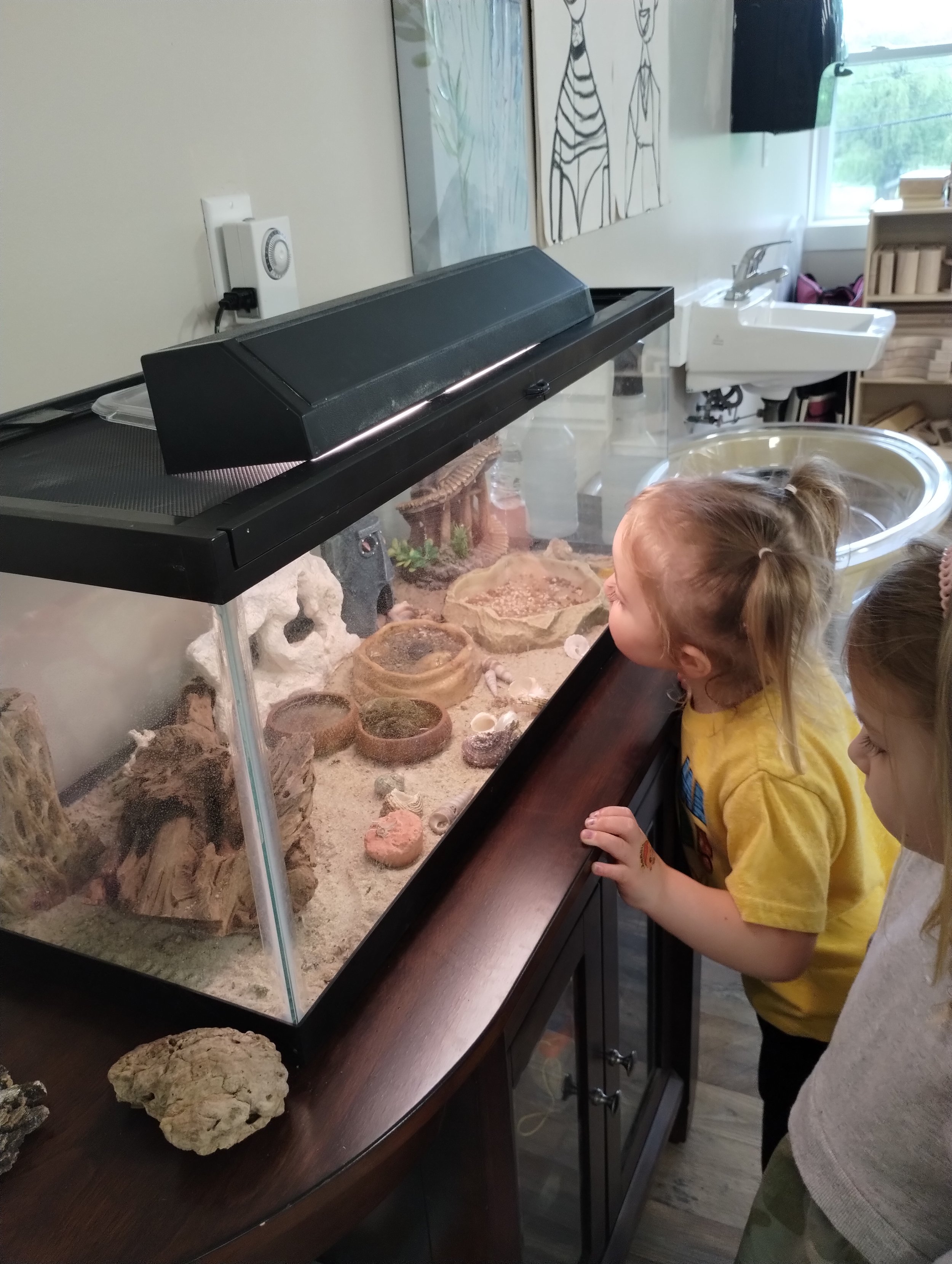 Warwick:  Knee High Naturalist Begins 