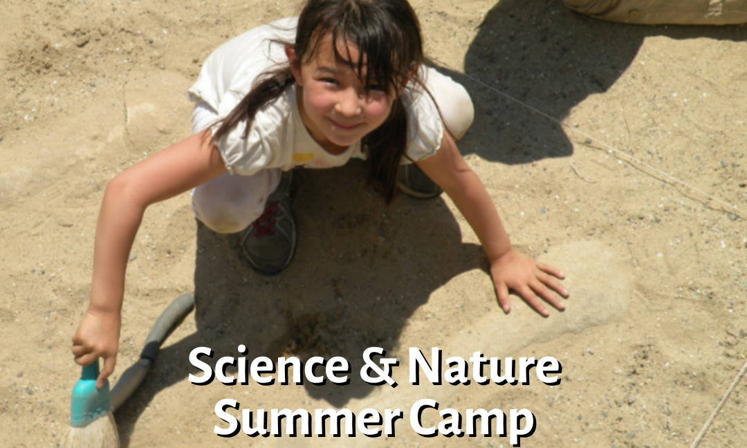 HHNC Website (13).png