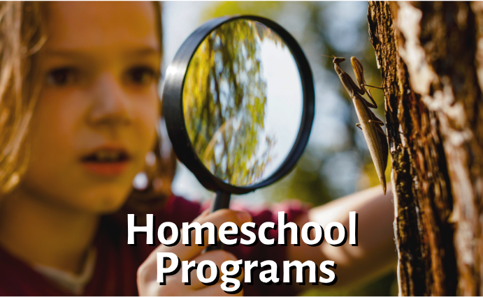 HHNC Website (Facebook Post).png